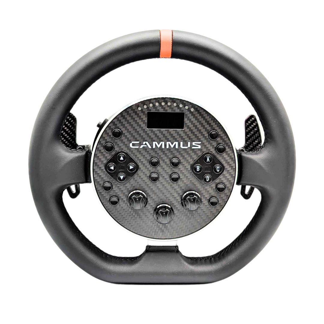Magnetic Carbon Paddles MOD [CAMMUS C5] (PC)