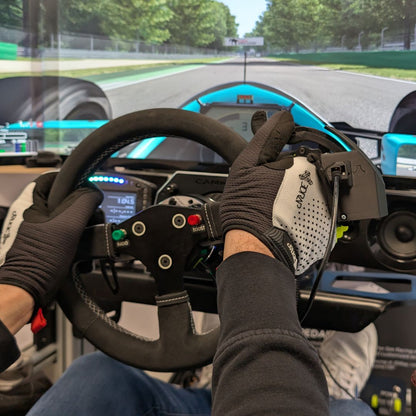 Hand Controller HC1 -> Throttle and Brake - Gaming is possible! (PC)